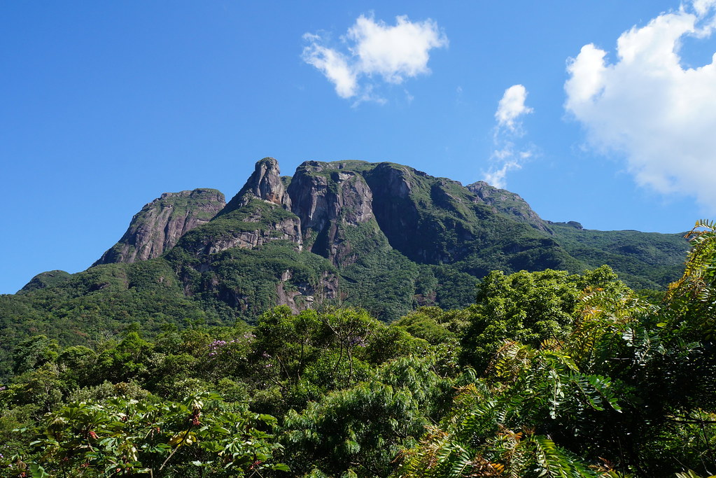 12078551374_e17e745b5b_b