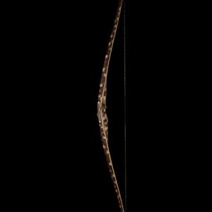 Aspid-Puzzle Longbow