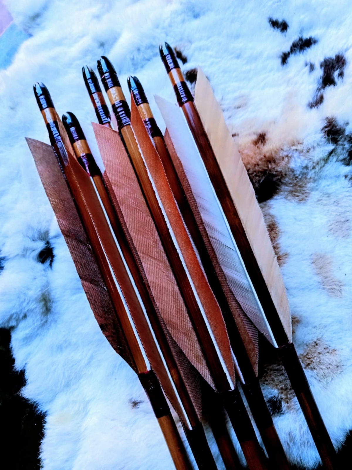 IMG-20260328-WA0050