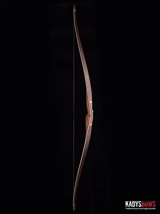 Aspid Puzzle Longbow